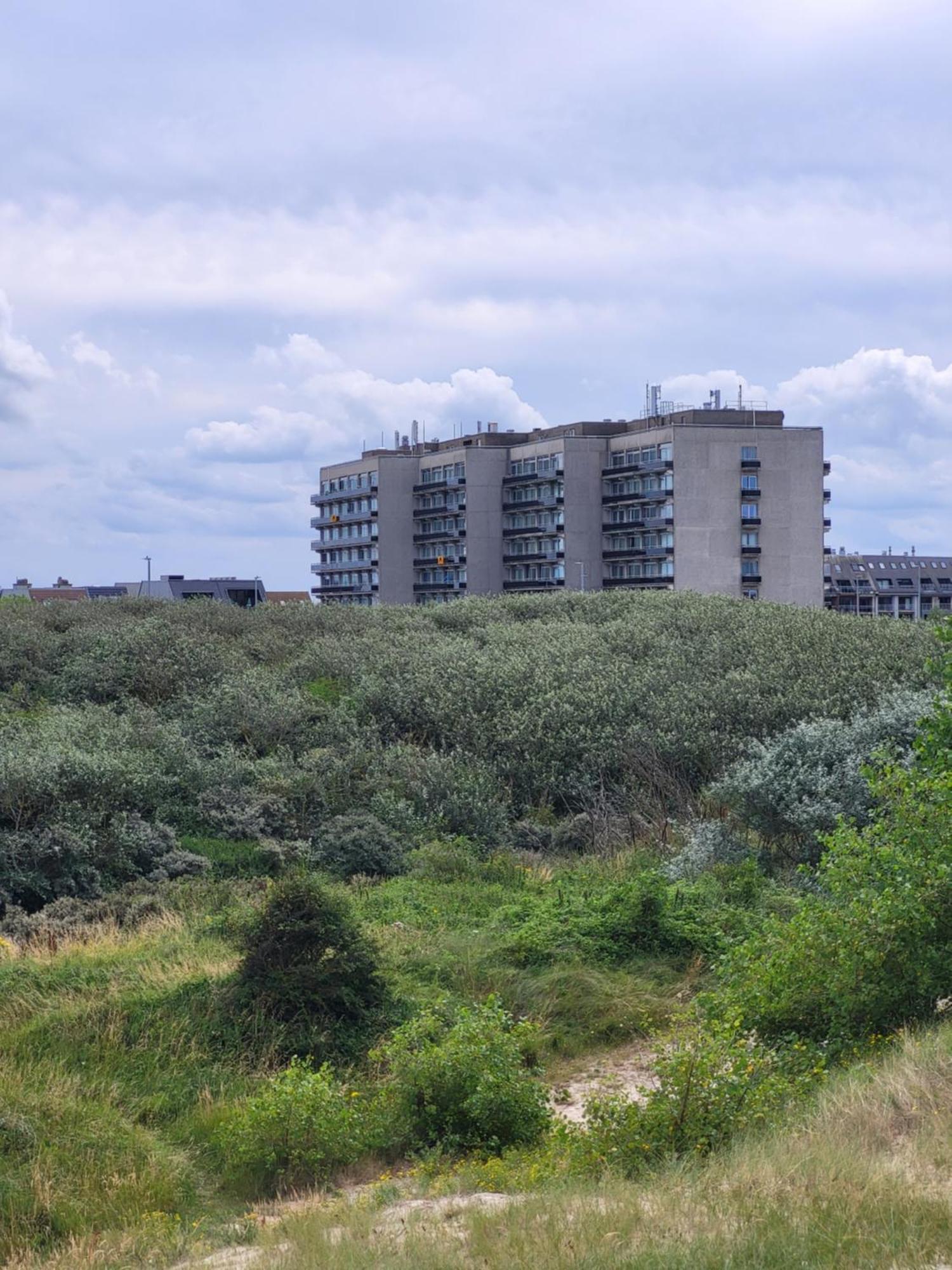 Studio With Sea View And Panoramic View In Bredene Buitenkant foto